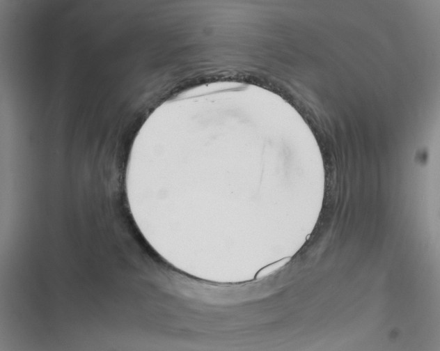 X0000116660039201001251227