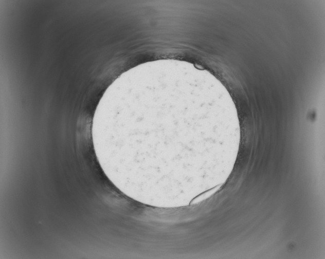 X0000116660041201001251227