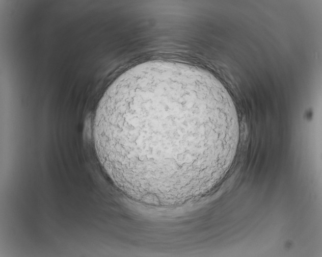 X0000116660042201001251227