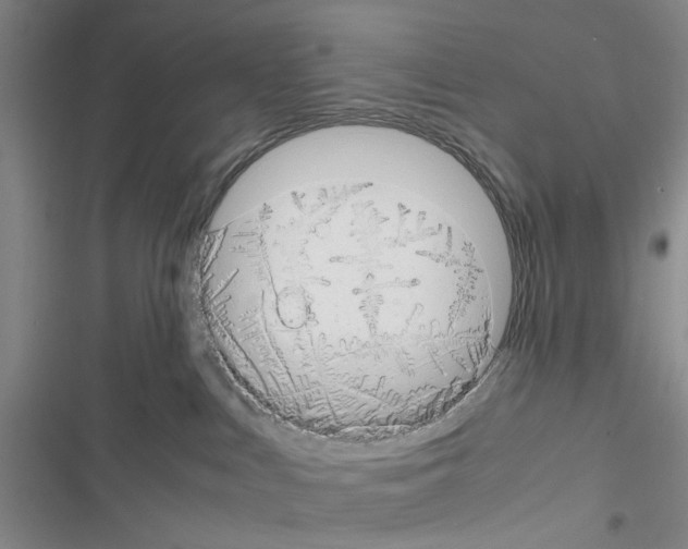 X0000116660043201001251227