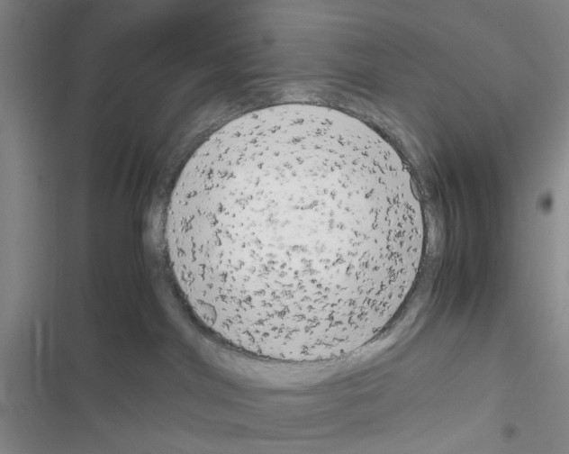 X0000116660044201001251227