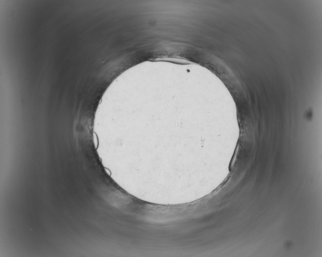 X0000116660045201001251227