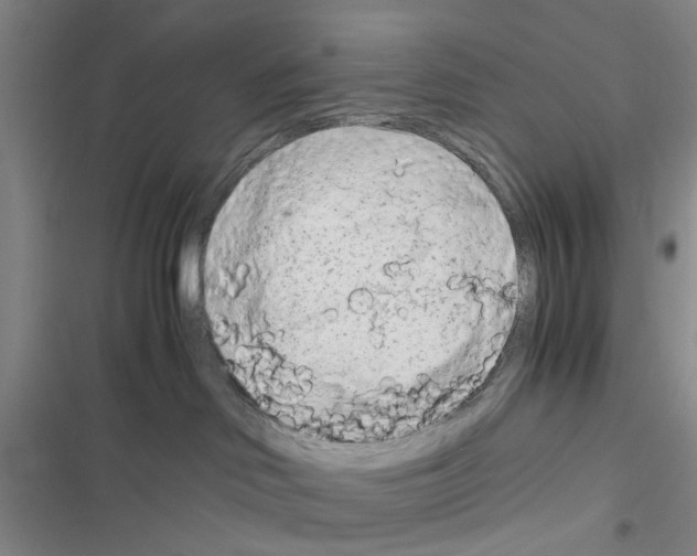 X0000116660046201001251227