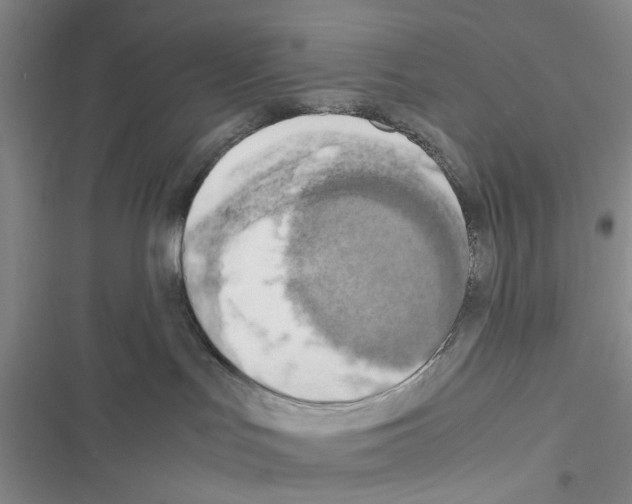 X0000116660047201001251227