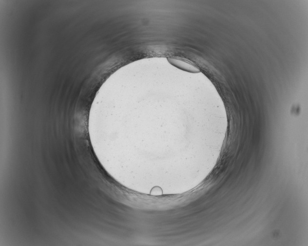 X0000116660048201001251227