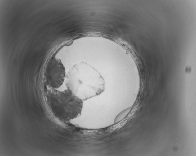 X0000116660049201001251226