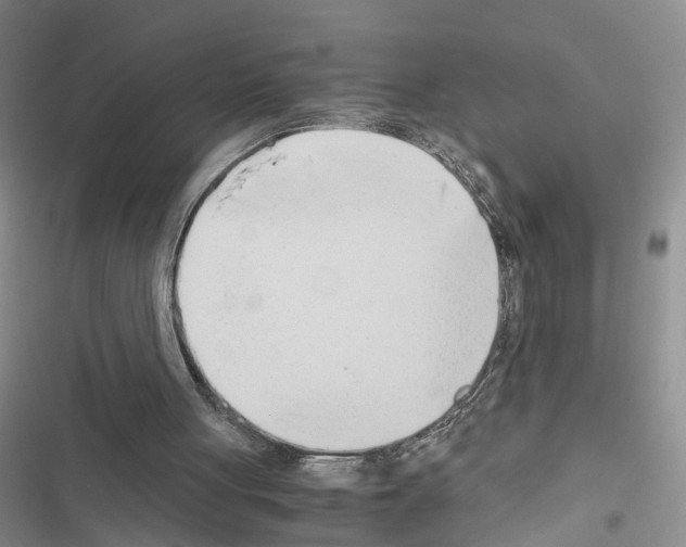 X0000116660051201001251226