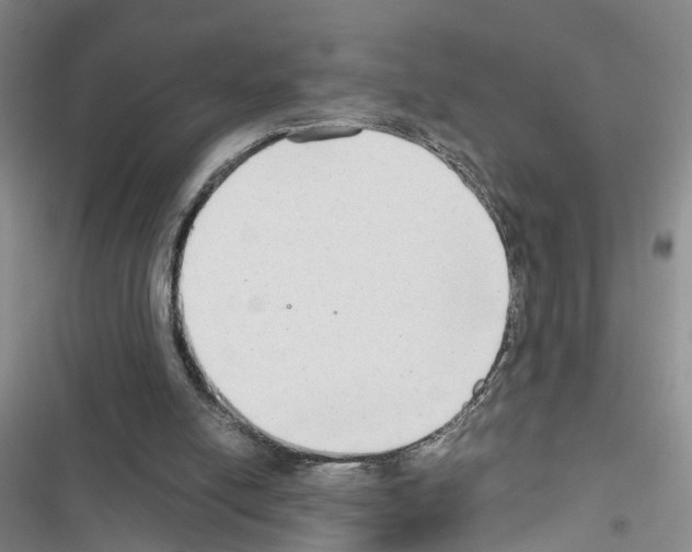 X0000116660054201001251226
