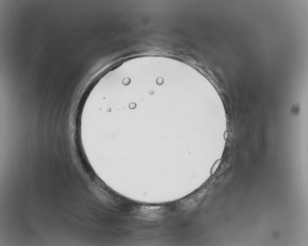 X0000116660055201001251226