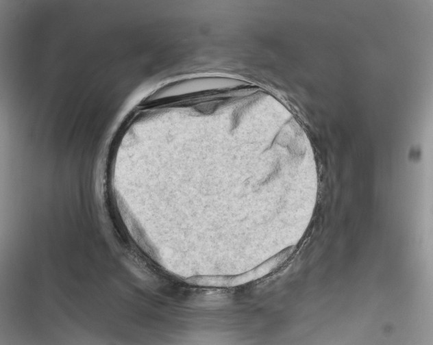 X0000116660056201001251226