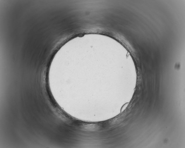 X0000116660058201001251226