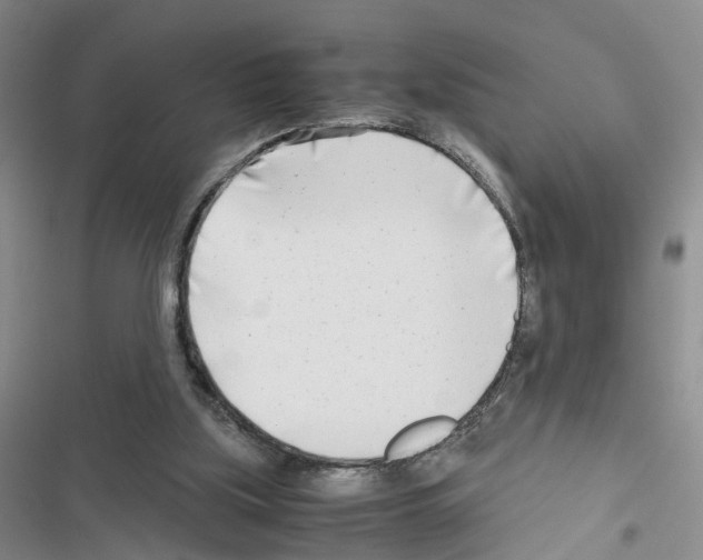 X0000116660059201001251226