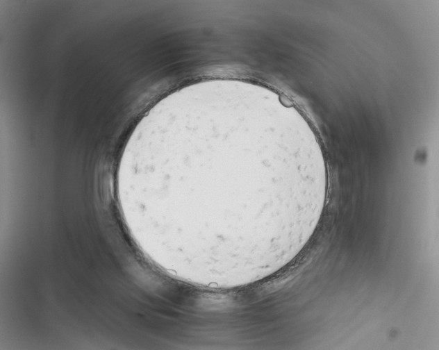 X0000116660061201001251226