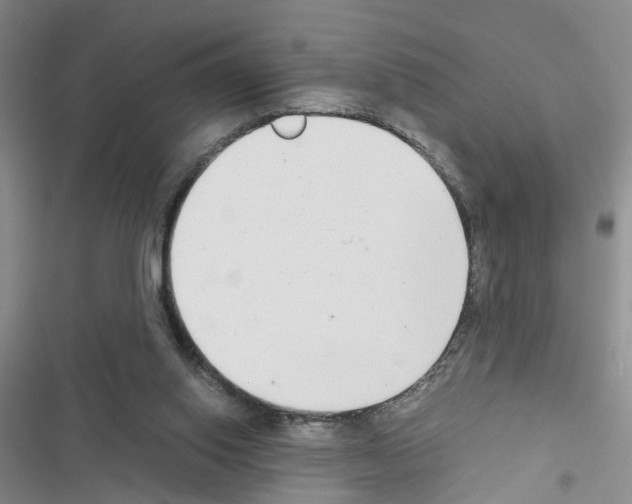 X0000116660062201001251226