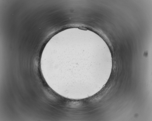 X0000116660063201001251226