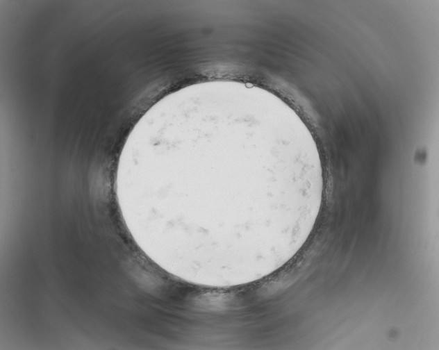 X0000116660065201001251226