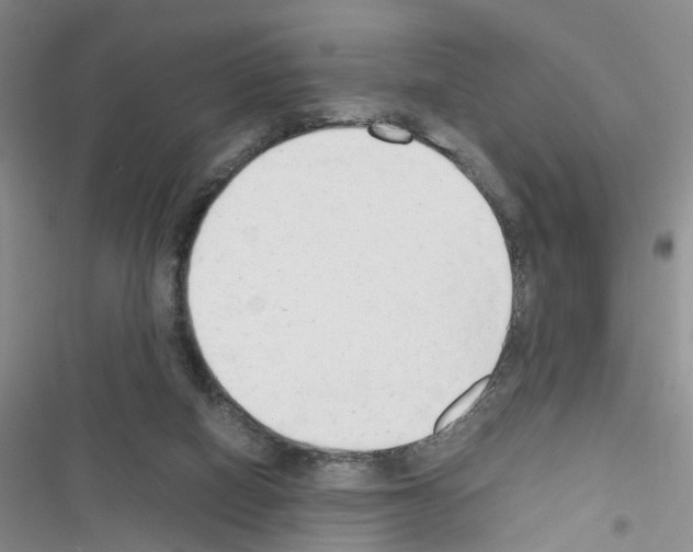 X0000116660066201001251226