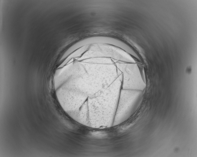 X0000116660067201001251226