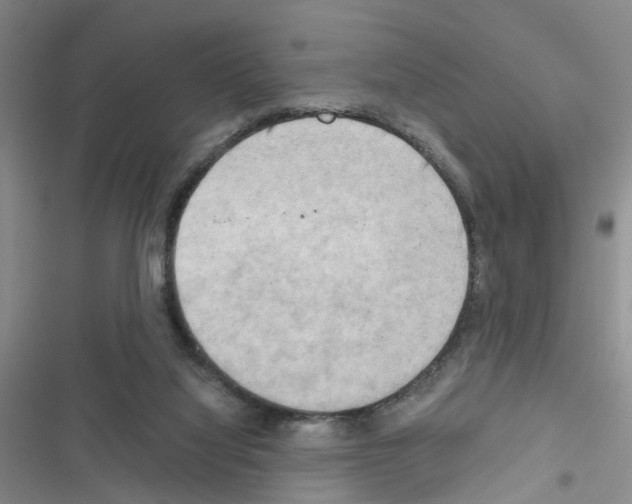 X0000116660068201001251226