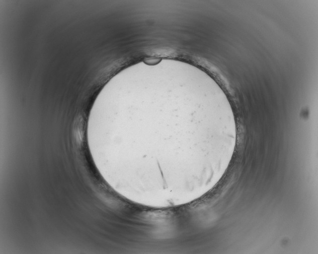 X0000116660069201001251226