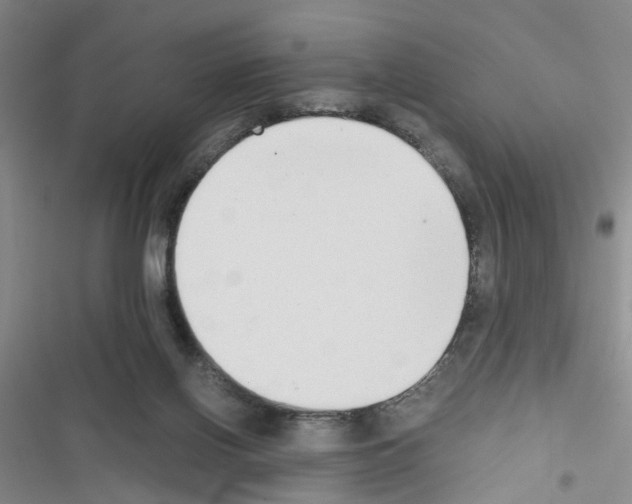 X0000116660070201001251226