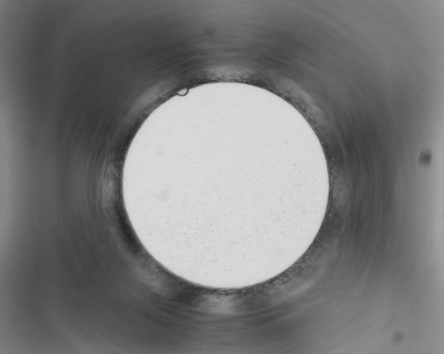 X0000116660071201001251227