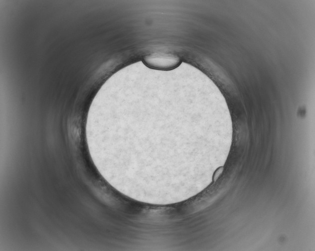 X0000116660072201001251227