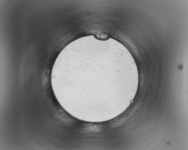 X0000116660073201001251227