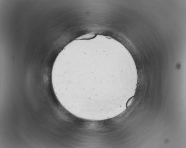 X0000116660074201001251227