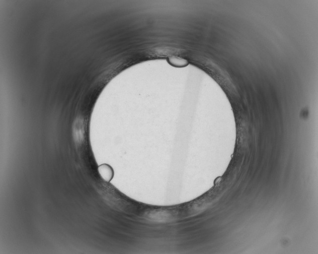 X0000116660075201001251227