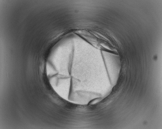 X0000116660076201001251227