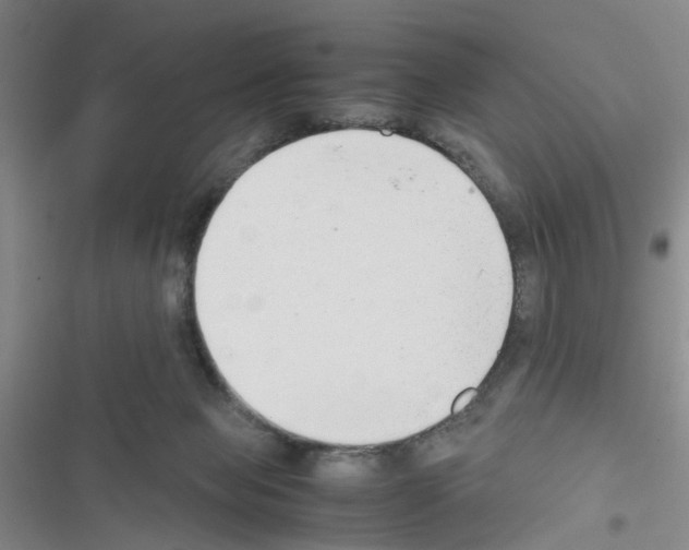 X0000116660077201001251227