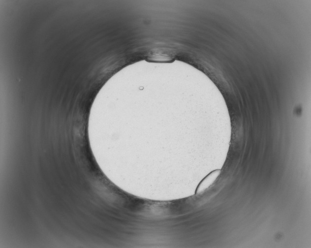 X0000116660078201001251227