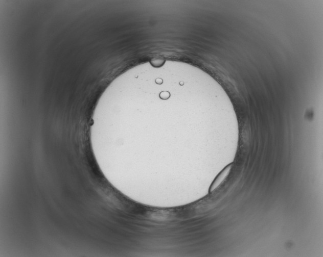 X0000116660079201001251227