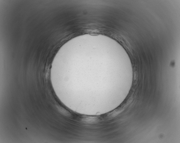X0000116660081201001251227