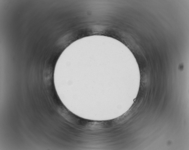 X0000116660082201001251227