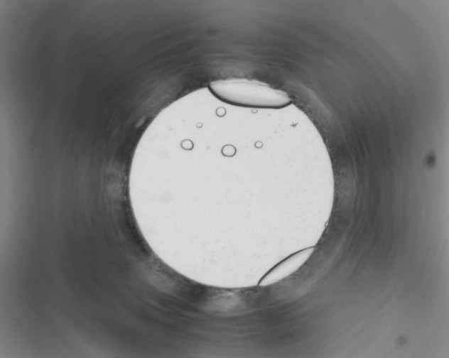 X0000116660083201001251227