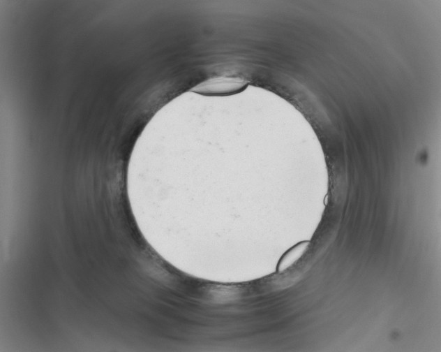 X0000116660085201001251227