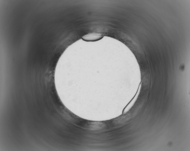 X0000116660087201001251227