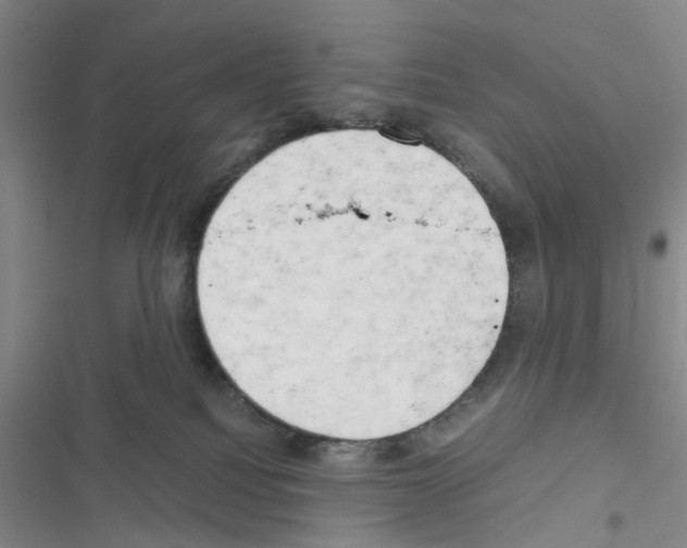 X0000116660088201001251227