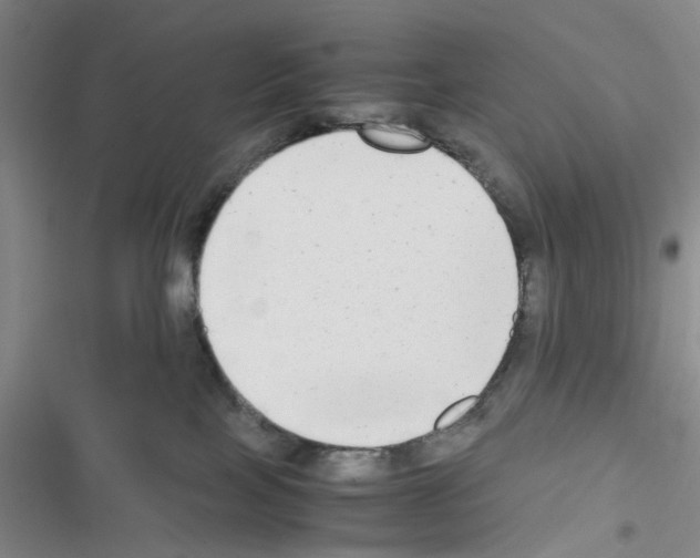 X0000116660089201001251227
