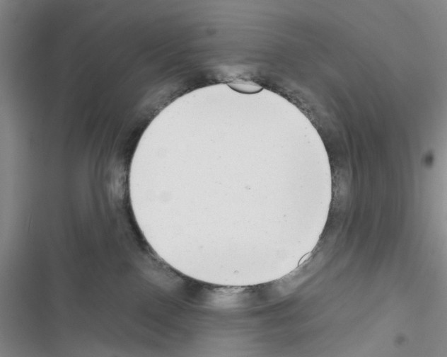 X0000116660090201001251227