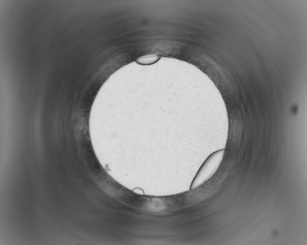 X0000116660091201001251227