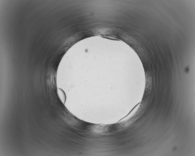 X0000116660094201001251227