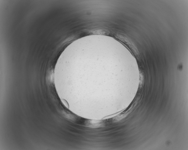X0000116660095201001251227