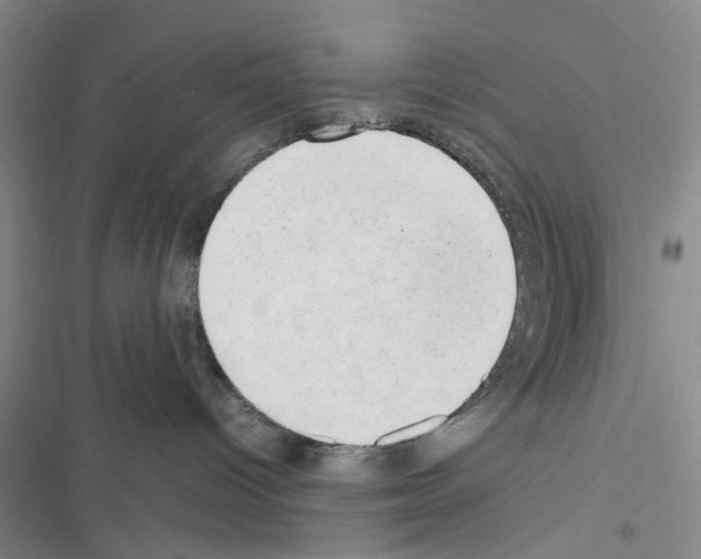 X0000116660096201001251227