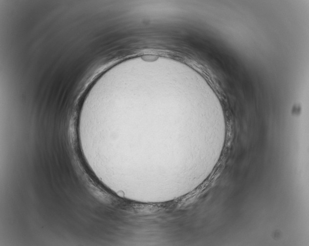 X0000116660098201001251226