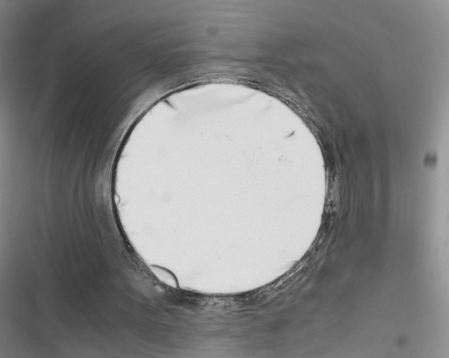 X0000116660099201001251226