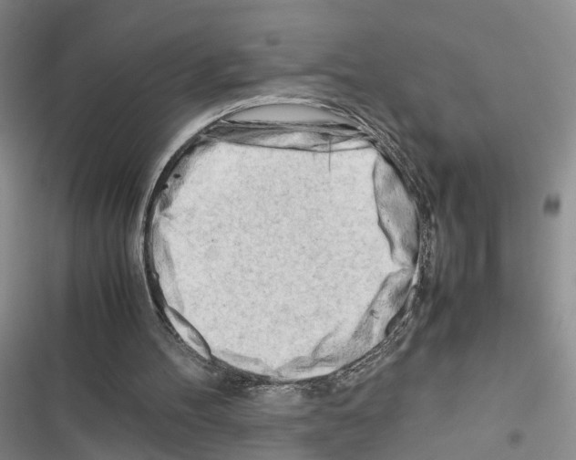 X0000116660100201001251226