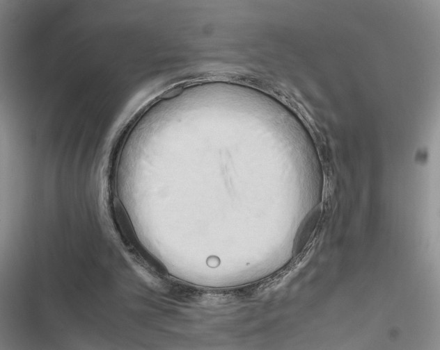 X0000116660101201001251226